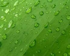 微信电脑版app下载（手机上能下载电脑版的微信吗）