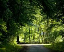 我的世界不用登录版下载（不需要手机账号,我的世界怎么下载）